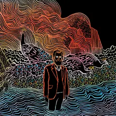 Iron &amp; Wine Kiss Each Other Clean - LTD (LP)