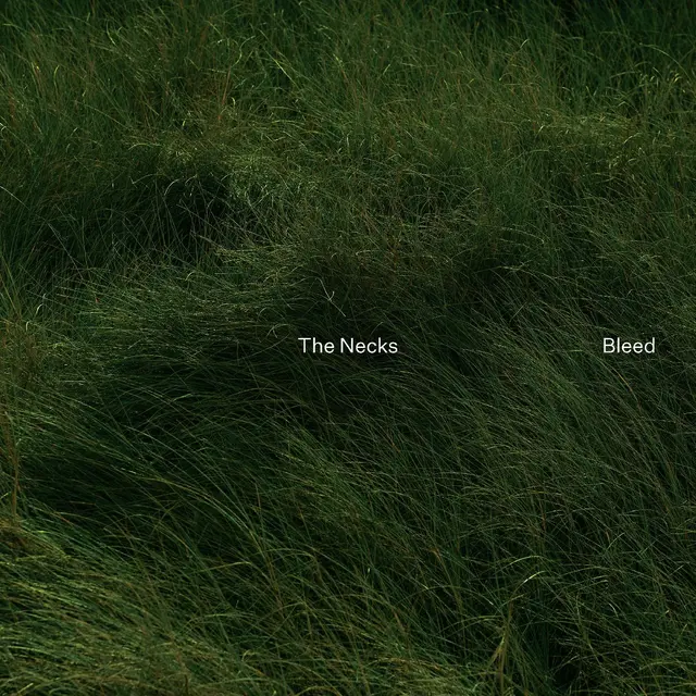 The Necks Bleed (LP) 