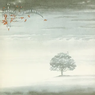 Genesis Wind &amp; Wuthering (LP)