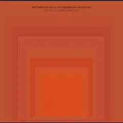 Matthew Halsall &amp; The Gondwana Orchestra When The World Was One (2LP)