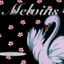 Melvins Stoner Witch - LTD (LP)