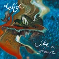 Delish Like A Sieve (LP)