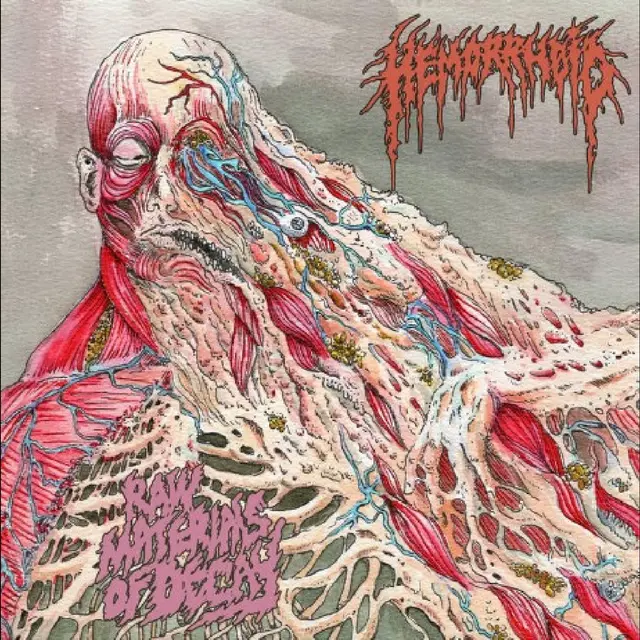 Hemorrhoid Raw Materials Of Decay (MC) 