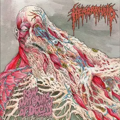 Hemorrhoid Raw Materials Of Decay (LP)