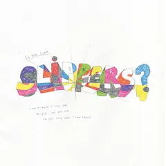 Slippers So You Like Slippers? - LTD (LP)
