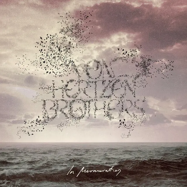 Von Hertzen Brothers In Murmuration (LP) 