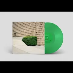 Ezra Feinberg Soft Power - LTD (LP)