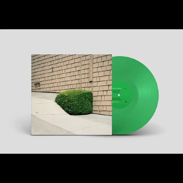 Ezra Feinberg Soft Power - LTD (LP) 