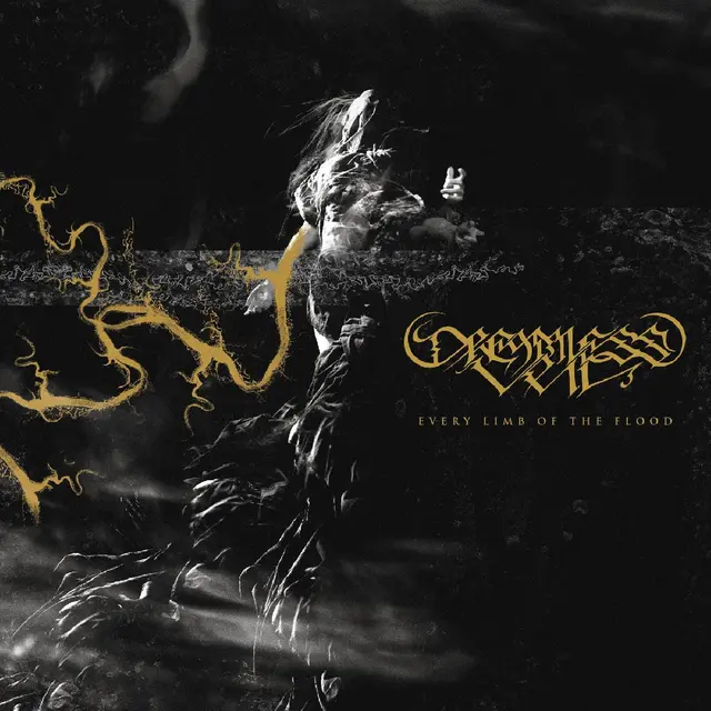 Dreamless Veil Every Limb Of The Flood - LTD (LP) 