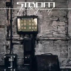 Harald Grosskopf Strom - LTD (LP)
