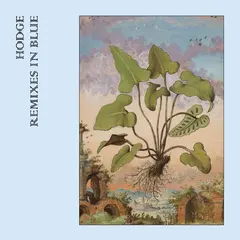 Hodge Remixes In Blue - LTD (LP)