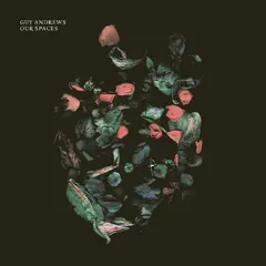 Guy Andrews Our Spaces (LP)
