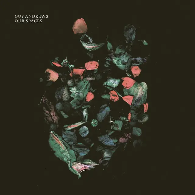 Guy Andrews Our Spaces (LP) 