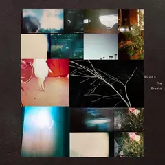 Suuns The Breaks - LTD (LP)