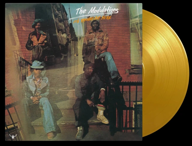The Modulations It's Rough Out Here - LTD (LP) 