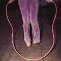 Buffalo Tom Jump Rope (LP)