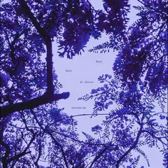 Marysia Osu Harp, Beats &amp; Dreams (LP)