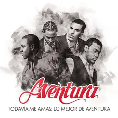 Aventura Todavía Me Amas: Lo Mejor… - LTD (2LP)
