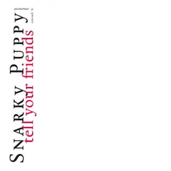 Snarky Puppy Tell Your Friends - 10 Year… - LTD (2LP)