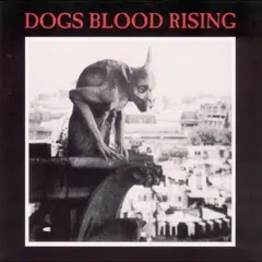 Current 93 Dogs Blood Rising (LP)