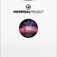 Universal Project Universal Language (12")