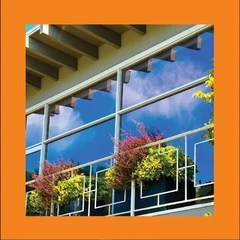 The Reds, Pinks And Purples Still Clouds At Noon - LTD (LP)