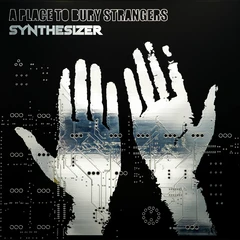 A Place To Bury Strangers Synthesizer (MC)