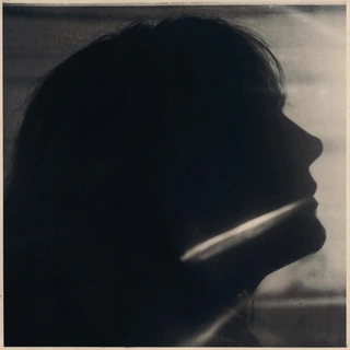 Sarah Blasko I Just Need To Conquer This…(CD)