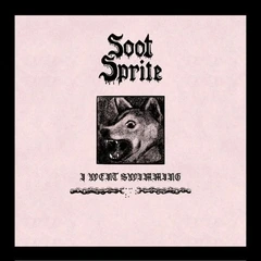 Soot Sprite I Went Swimming / Home Among Your… (7")