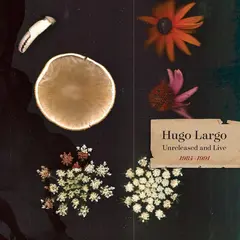 Hugo Largo Huge, Large And Electric… (3LP)