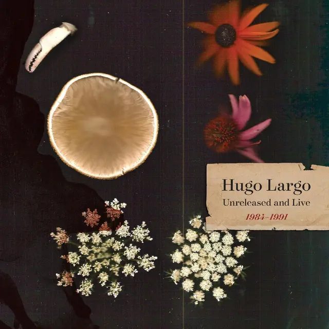 Hugo Largo Huge, Large And Electric… (3LP) 