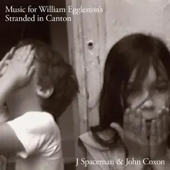 J Spaceman &amp; John Coxon Music For William Eggleston's… (LP)