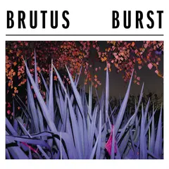 Brutus Burst (CD)