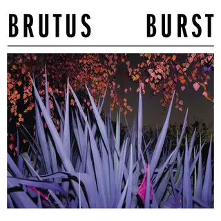 Brutus Burst (CD)