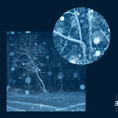 Daniel Herskedal Call For Winter II: Resonance (CD)