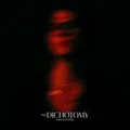 David Kushner The Dichotomy (2LP)