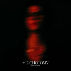 David Kushner The Dichotomy (2LP)