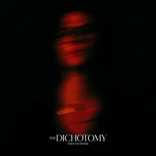 David Kushner The Dichotomy (2LP)