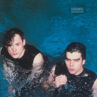 The Associates Fourth Drawer Down - LTD (LP)