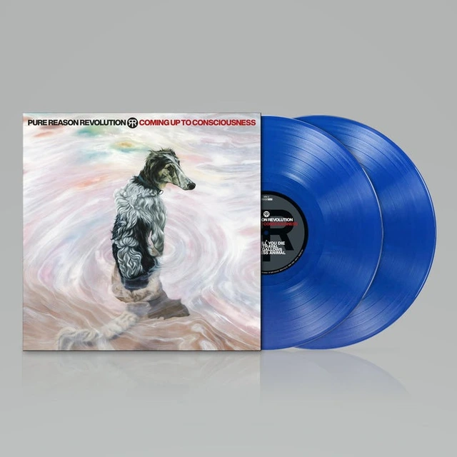 Pure Reason Revolution Coming Up To Consciousness - LTD (LP) 