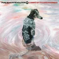 Pure Reason Revolution Coming Up To Consciousness - LTD (LP)