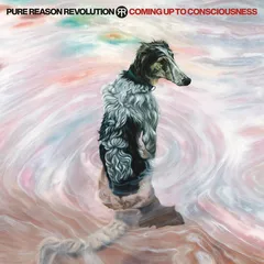 Pure Reason Revolution Coming Up To Consciousness - LTD (LP)