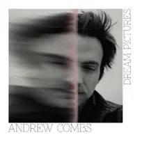 Andrew Combs Dream Pictures (LP)