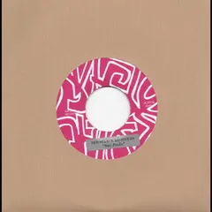 The Stance Brothers Sao Paolo/Timmy (7")