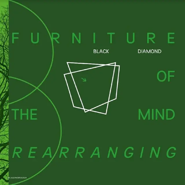 Black Diamond Furniture Of The Mind Rearranging (2LP) 