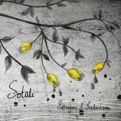 Pettersson &amp; Fredriksson Sotali (LP)