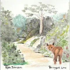 Robb Johnson Pennypot Lane (LP)