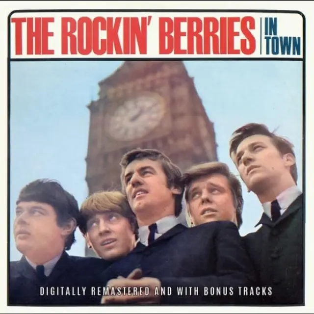 The Rockin' Berries In Town (LP) 