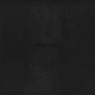 Vince Staples Dark Times (LP)