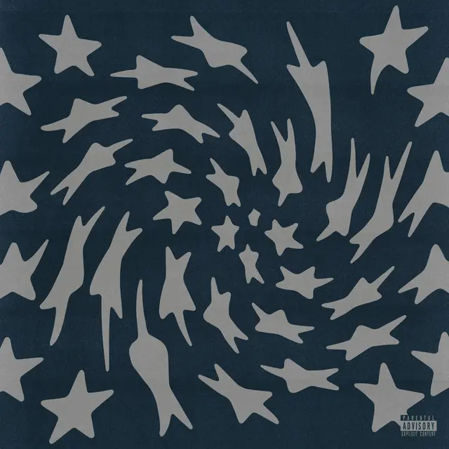 Toro Y Moi Hole Erth (LP) 